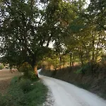 Il Campetto