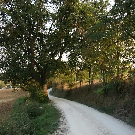 Il Campetto