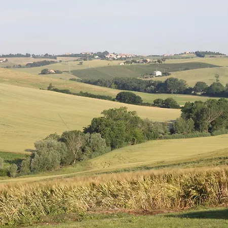 Il Campetto セニガッリア