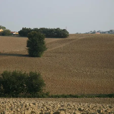 Il Campetto לינה וארוחת בוקר 3*