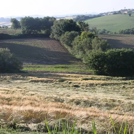 Il Campetto